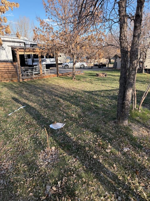 Before the spring cleanup: Open lawn under the trees