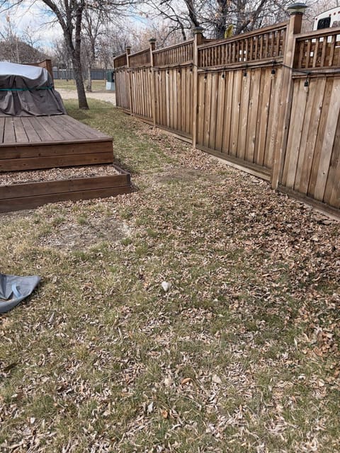 Before the spring cleanup: Deck steps and fence line