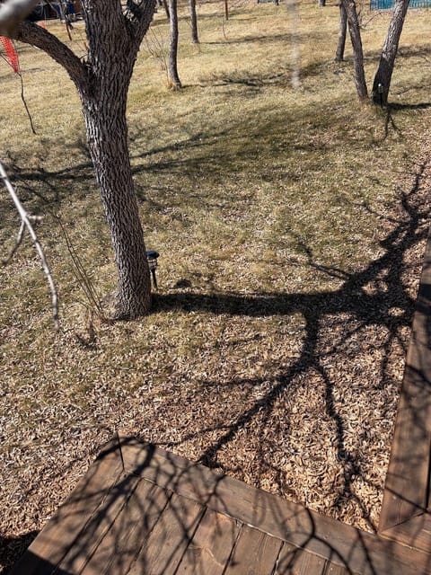 Before the spring cleanup: Yard off the deck