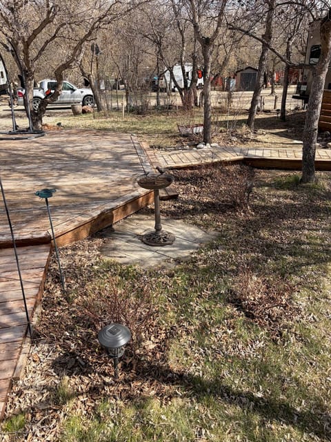 Before the spring cleanup: Garden along the boardwalk