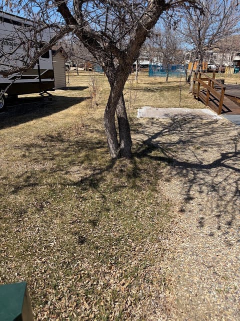 Before the spring cleanup: Yard and gravel pad