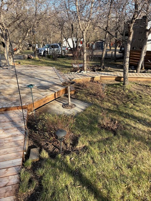 After the spring cleanup: Garden along the boardwalk